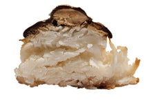 Load image into Gallery viewer, Coconut Macaroons