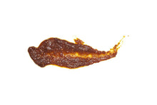 Load image into Gallery viewer, Hot Korean Gochujang Sauce