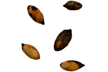 Load image into Gallery viewer, Brined &amp; Roasted Pumpkin Seeds

